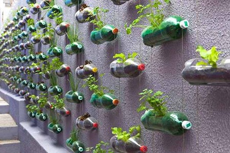 PET palack újrahasznosítás házilag - Függőleges kert