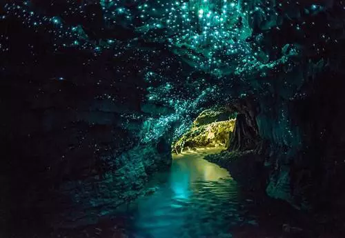 Waitomoi szentjánosbogár barlang