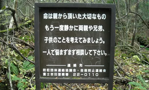 Aokigahara, az öngyilkosok erdeje - Japán