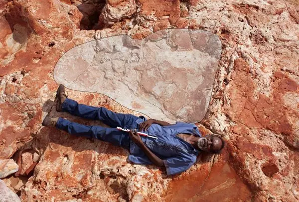 Ausztrál tudósok megtalálhatták a világ legnagyobb dinoszaurusz-lábnyomát