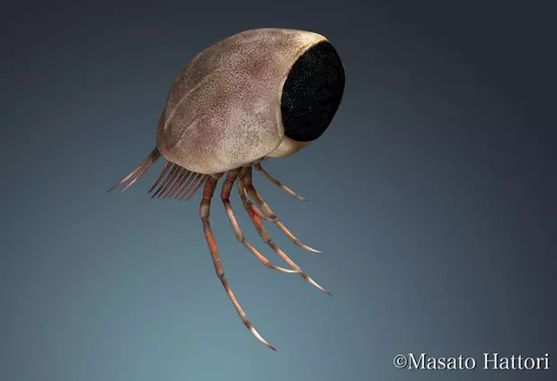 Dollocaris ingens �sr�k rekonstrukci�