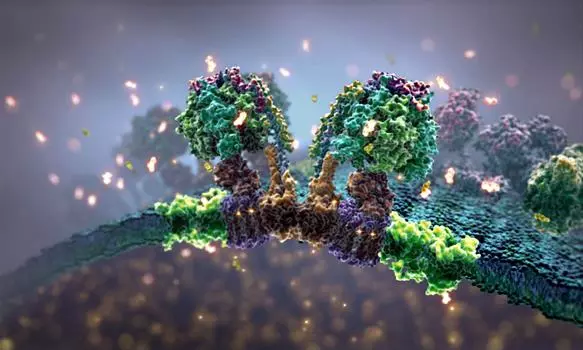 Egy sejt belső élete, egy elképesztően látványos videón!