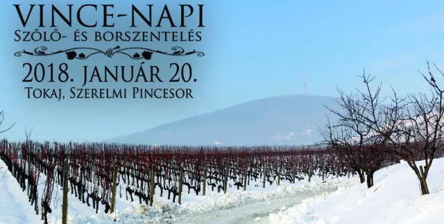 Vince-napi sz�l�- �s borszentel�s - Tokaj