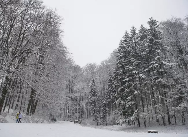 Havas f�k Salg�tarj�n k�rny�k�n