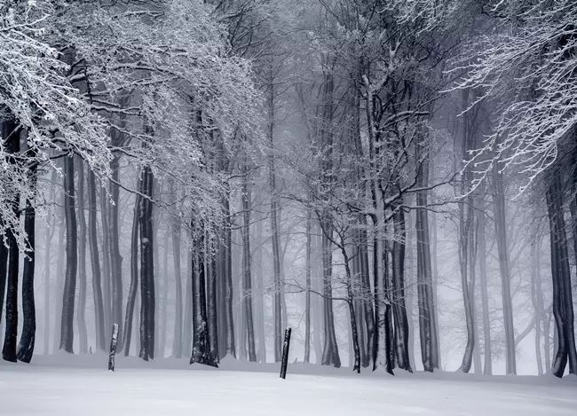 J�n a fagy, ak�r m�nusz 15 fok is lehet