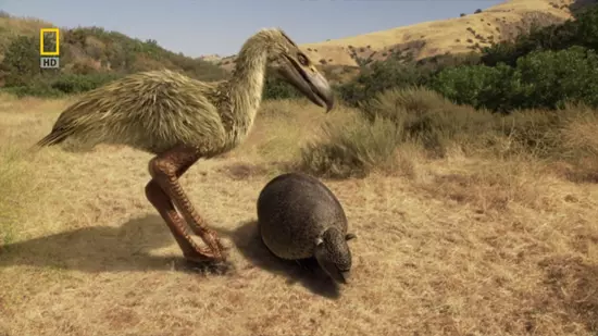 Kelenken guillermoi vad�szat k�zben