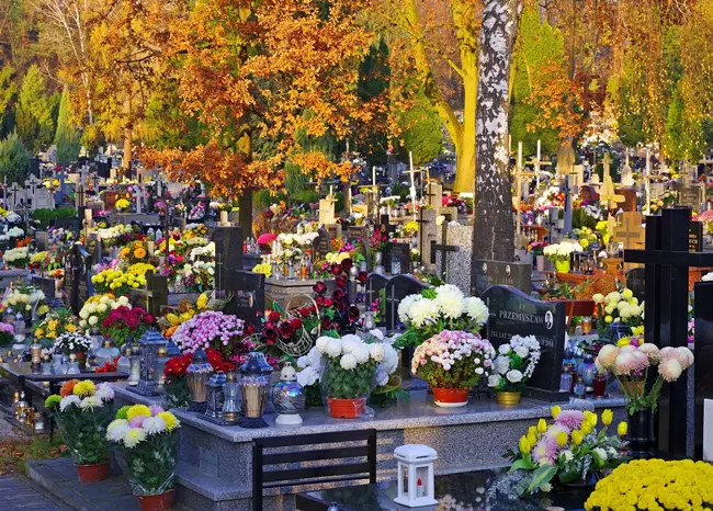 Temető - Virágokkal teli sírok Halottak napján