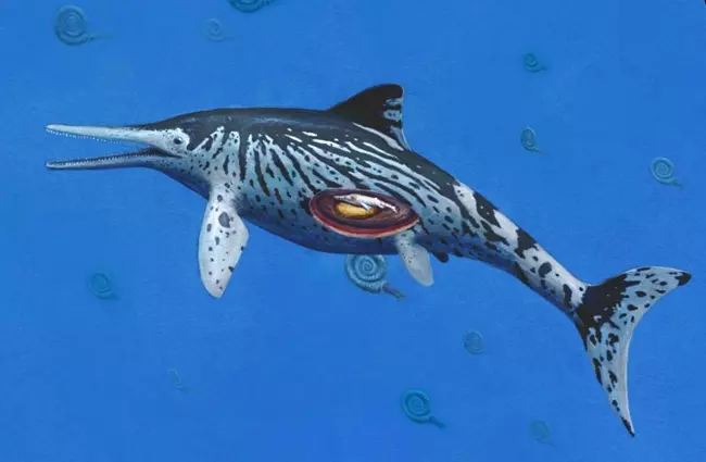 Az Ichthyosaurus somersetensis rekonstrukci�ja