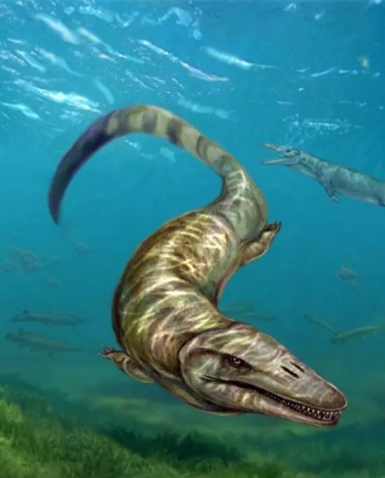 Pannoniasaurus inexpectatus rekonstrukci�