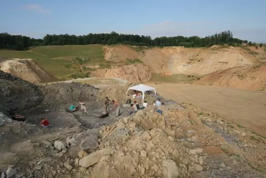 Pannoniasaurus inexpectatus �sat�s - Ihark�t, bauxitb�nya