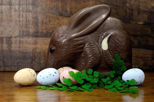 Kicsomagolt csoki bilby