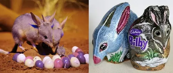 Val�di �s csoki bilbyk