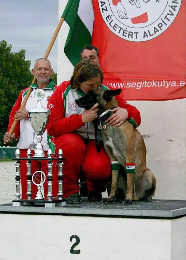 Belnyi Bea s Zen a serleggel